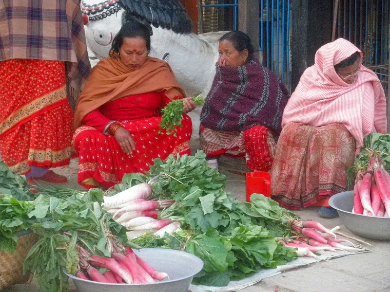 ネパール：自治体職員のための廃棄物研修
