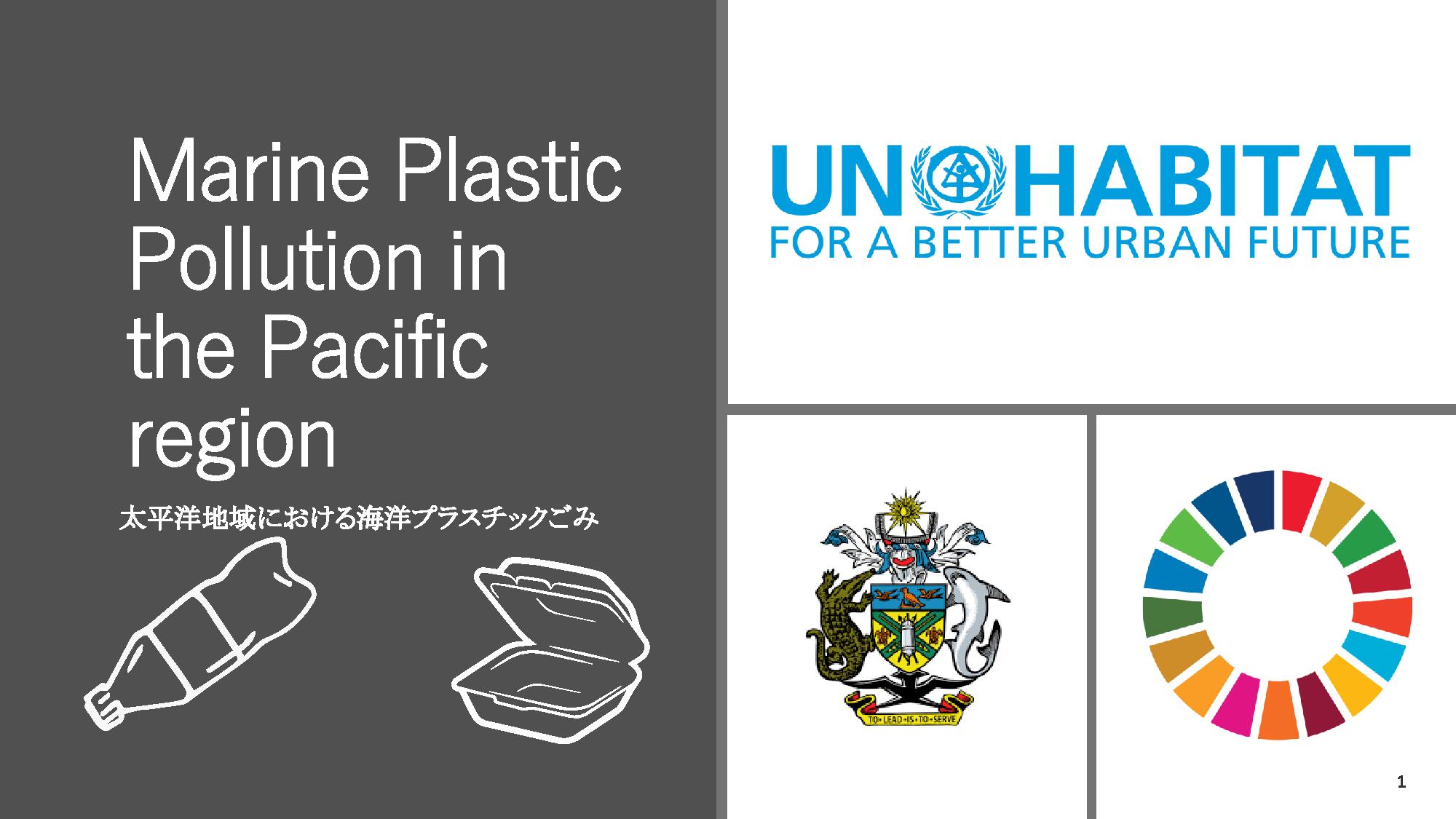 Marine Plastic Pollution in the Pacific Region: Expert Group Meeting 2019