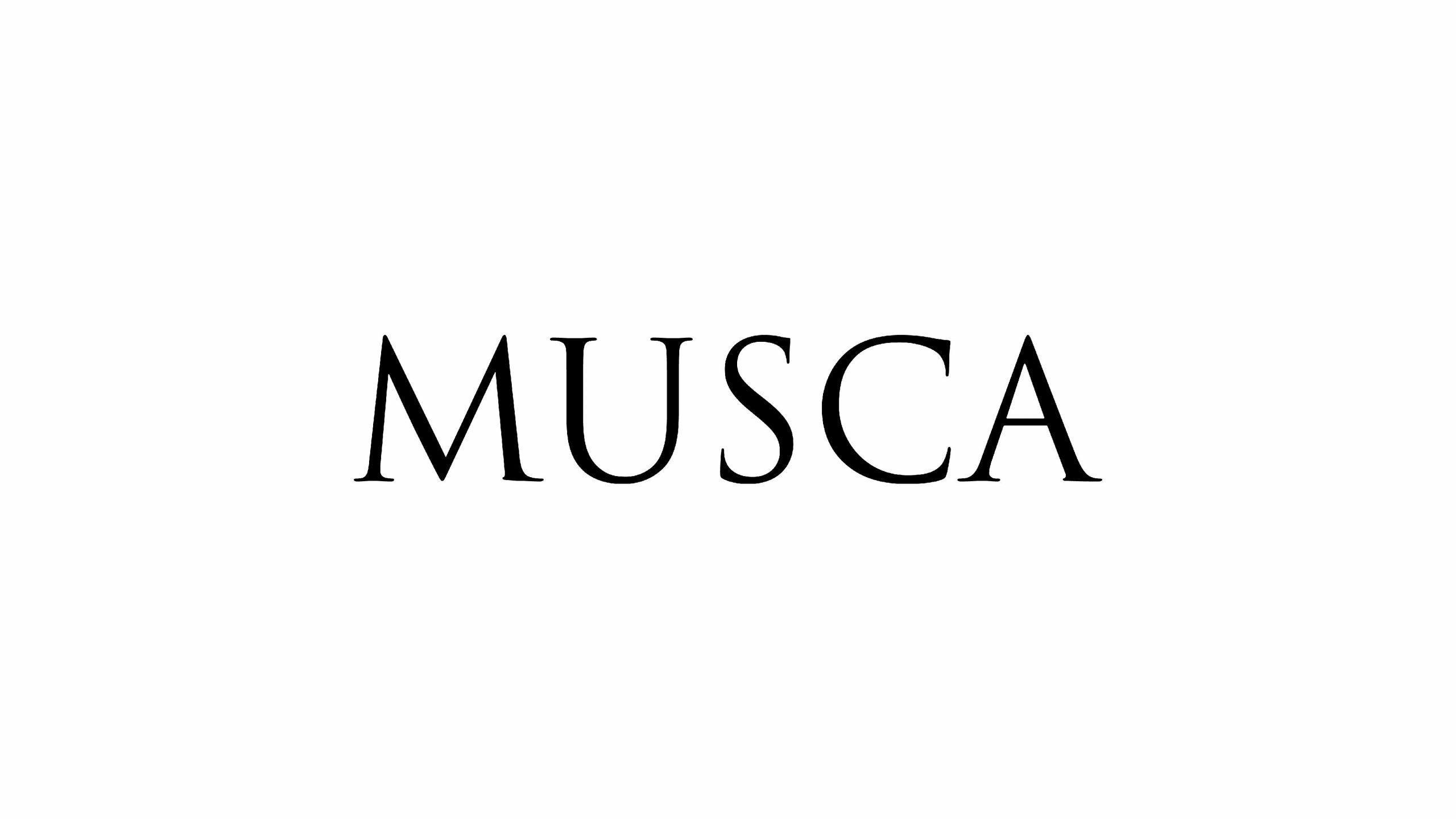 MUSCA System: Expert Group Meetings 2018