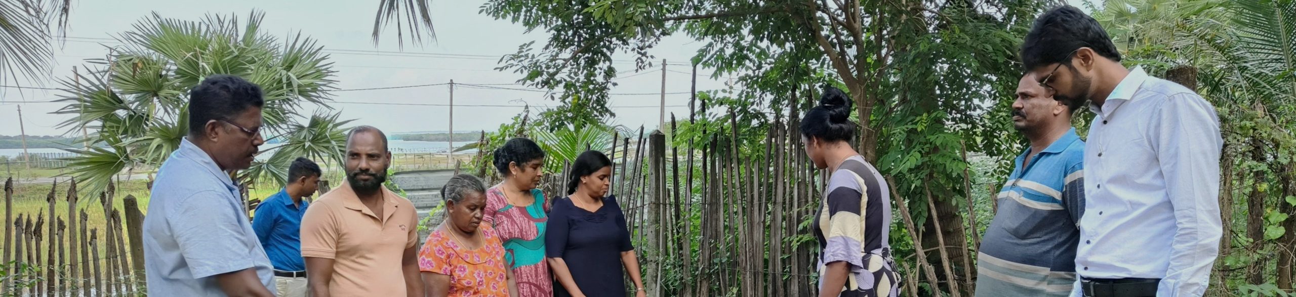 Restoring green shields: Rehabilitating mangrove cover in Mullaitivu District through community participation