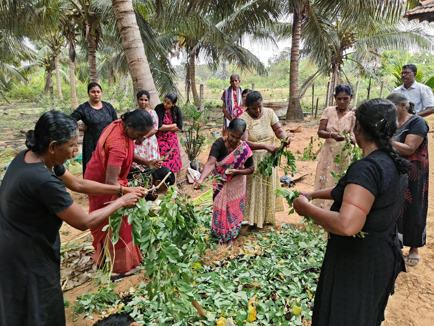 Promoting Climate-Resilient and Sustainable Agriculture in Mullaitivu District