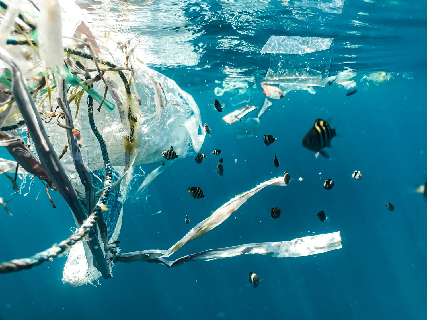 Regional Training  Programme on Marine Plastics and Waste Management 
